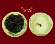 284.�ռ�� ��ٺҤ��� �Ե�ѭ� �ӹѡʧ���Ф�ҧ�� �.��ᾧྪ� �����Ѻ...2