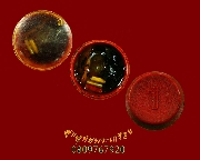 755.��Ѻ�ռ�������Ţ 1 �բͧ���ŵ�ҧ� ��ǧ��͡�»�١�ʡ ����Ҥ�Ң���ʹ��������Ѻ ��Һ٪Ҥ�Ѻ