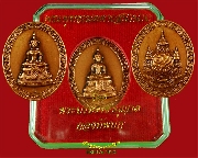 206.����­��оط�������ʹҹҶ �¾�к���Ҫҹحҵ �ͧ�Ѿ���Ѵ���ҧ ��������������ͧ