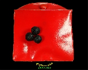 516.�١���ҹ��ҡ ��ͷ�ҹ�����Ѵ ����С��˹�� �������ó������Ѻ***2