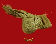 582.�١���ҹ��ҡ��ͼ������ ��ǧ���ͧ�� �Ѵ��ҷͧ �.�صôԶ�� �����ѧ�����ԡ���͹��� ��Һ٪Ҥ�Ѻ