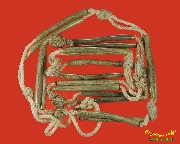 43.�С�ش�Ҵ��� 18 �͡ ���͵С������ ������ʹ�ҧ �ը�������ѧ�����ԡ��Ѻ