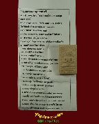 244.������稩�ͧ�ط���ѹ��� ��ǧ��������� �Ե����� �Ѵ���͹���� �.��û�� �����������ҡ��� ��Һ٪Ҥ