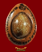 932.������������ŧ�ѹ�� ��ѧŧ�ջ��͡(�ԧ) �����ѧ�����ԡ ���͹��¤�Ѻ