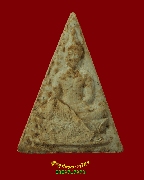 304.������稨Ե�Ŵ� ��ѧ ���.��� 2 �Ѵ��� ���ͼ���������þ�ШԵ�Ŵ� ��29-30 �����Ź�Һ٪Ҥ�Ѻ